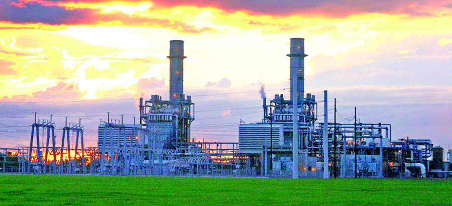 1970-1990_Plant 1970-1990_Plant