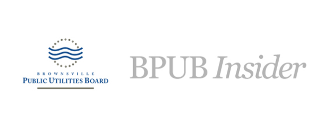 BPUB-insider