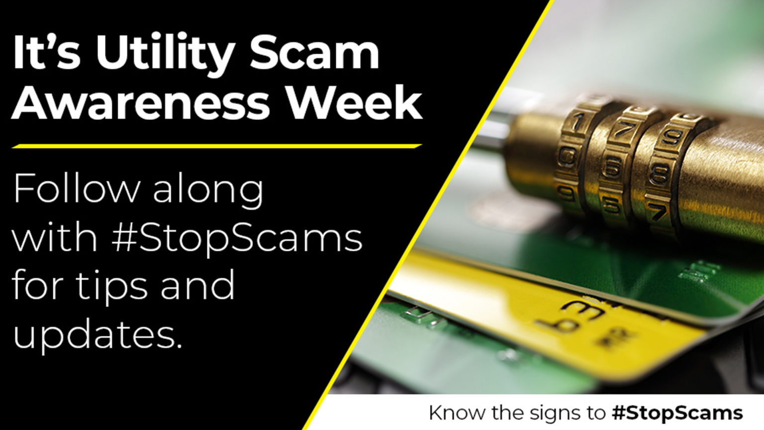 scams-tv scams-tv
